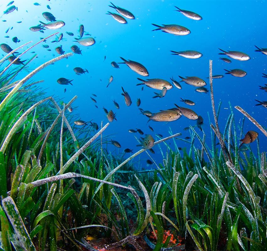 Planes para cuidarse por dentro y por fuera en el paraíso mediterráneo de Formentera