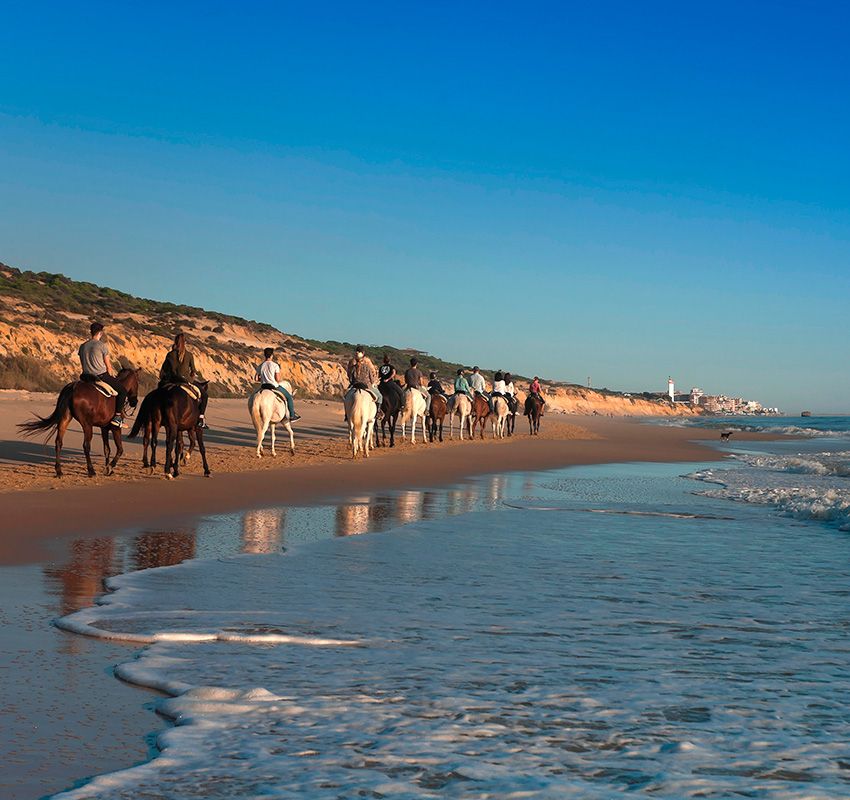 Playa de Doñana a caballo, Huelva