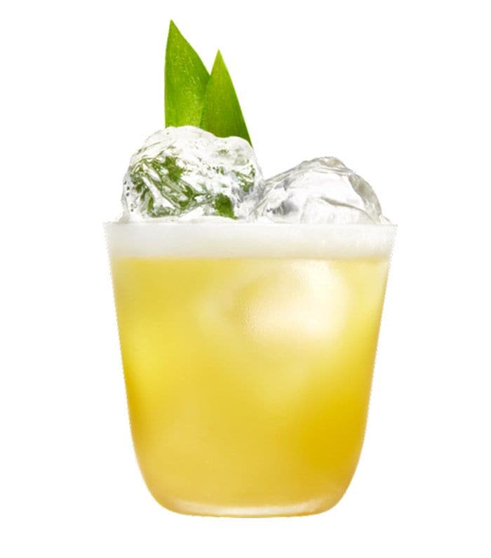 pina margarita