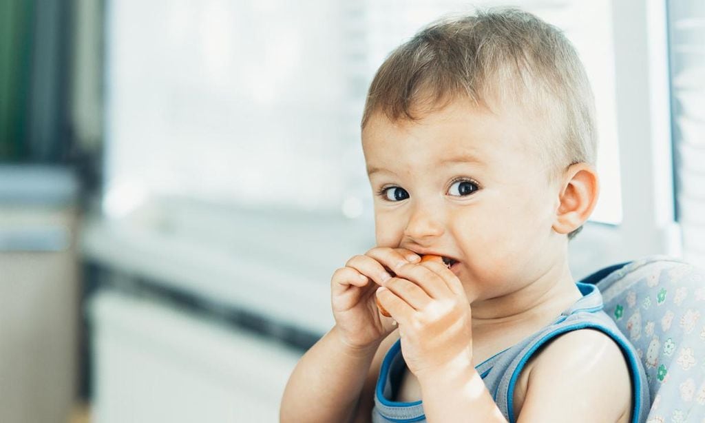 ni o comiendo carne