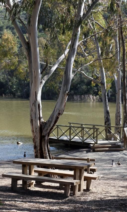 Lago de las Tortugas.