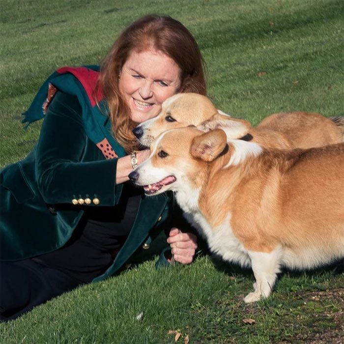 sarah-ferguson-corgies1