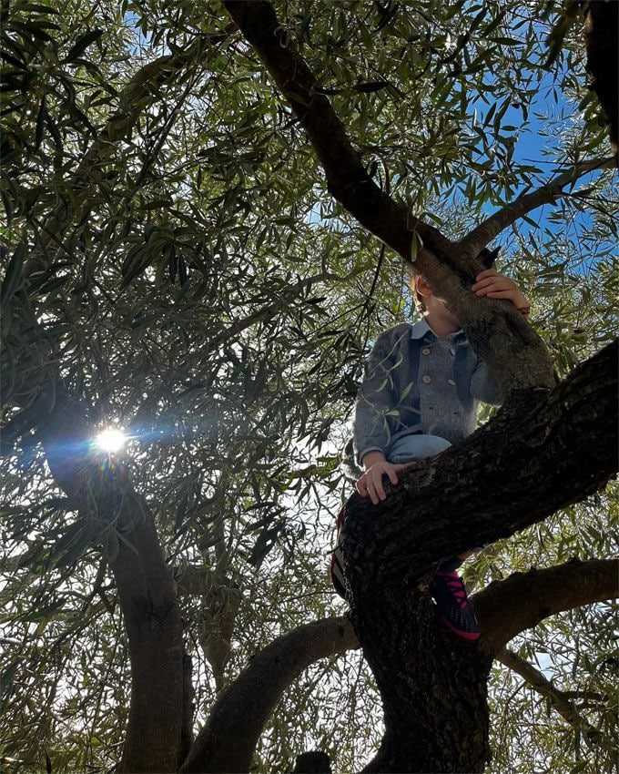 Curro, el hijo de Francisco Rivera y Lourdes Montes, en la finca familiar de Ronda