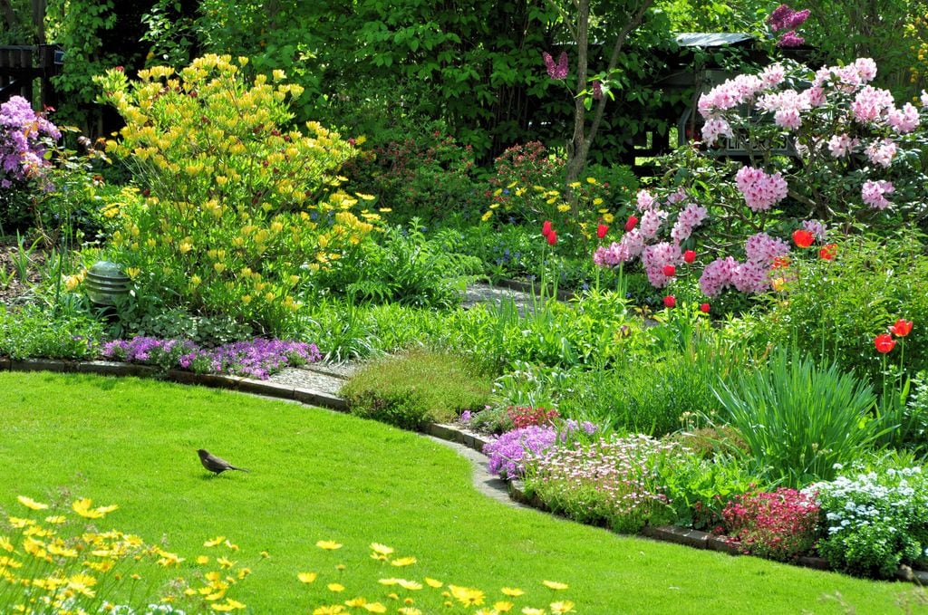 Jardín con flores