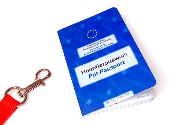 Pasaporte para perros