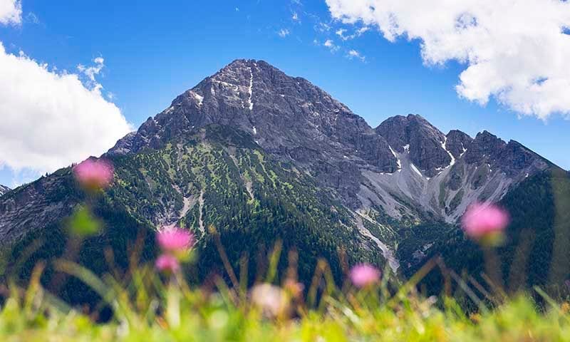 picos europa