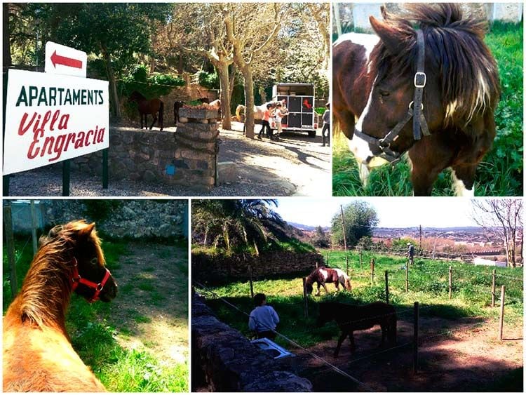 caballos-Villa-Engracia