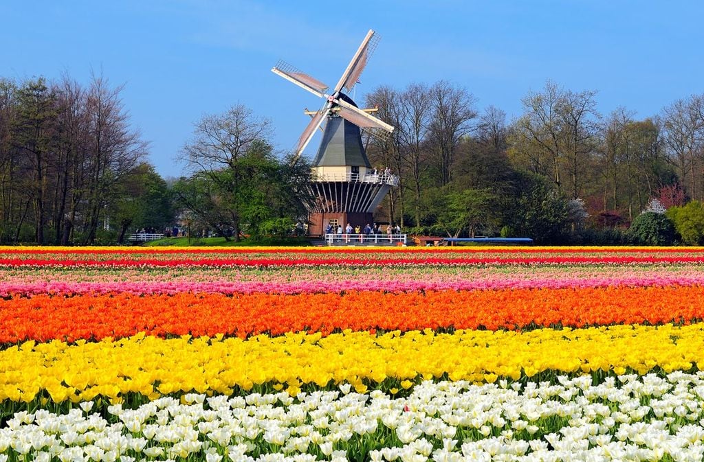 a_Holand