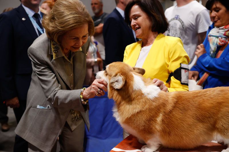 Doña Sofía, toca a un perro