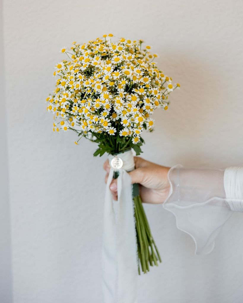 Ramos de novia blancos flor de manzanilla