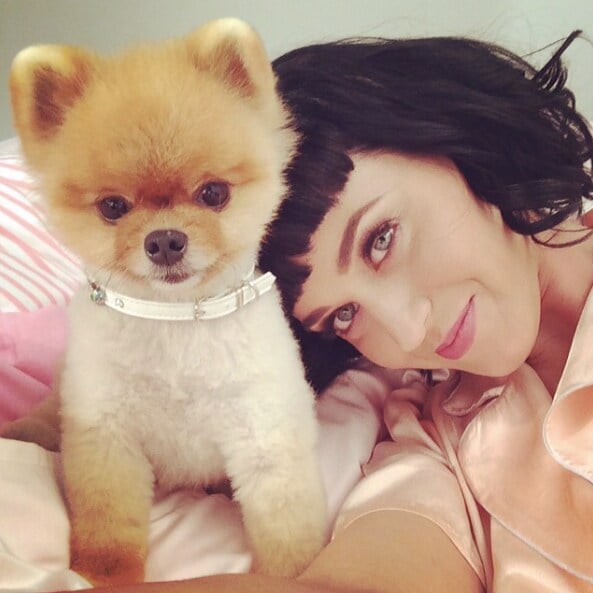 Katy Perry con su mascota