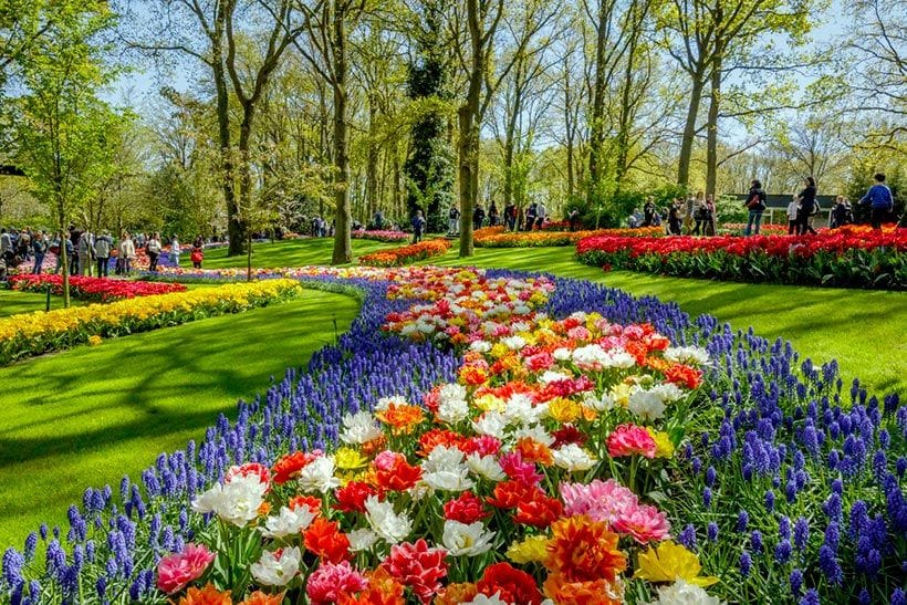 Keukenhof-holanda-jardines-6