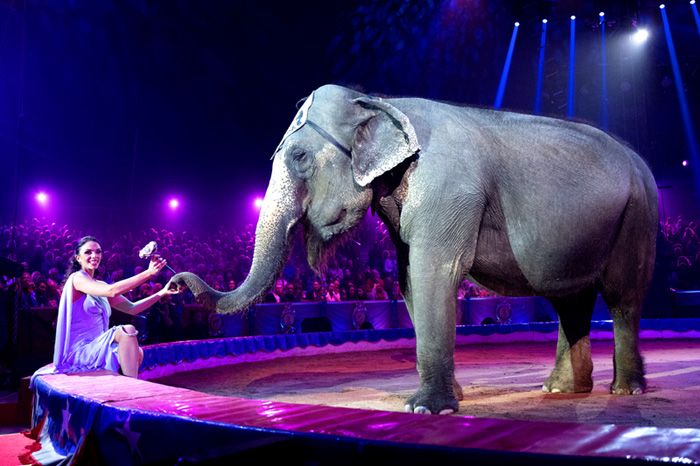 Festival Internacional del Circo de Montecarlo