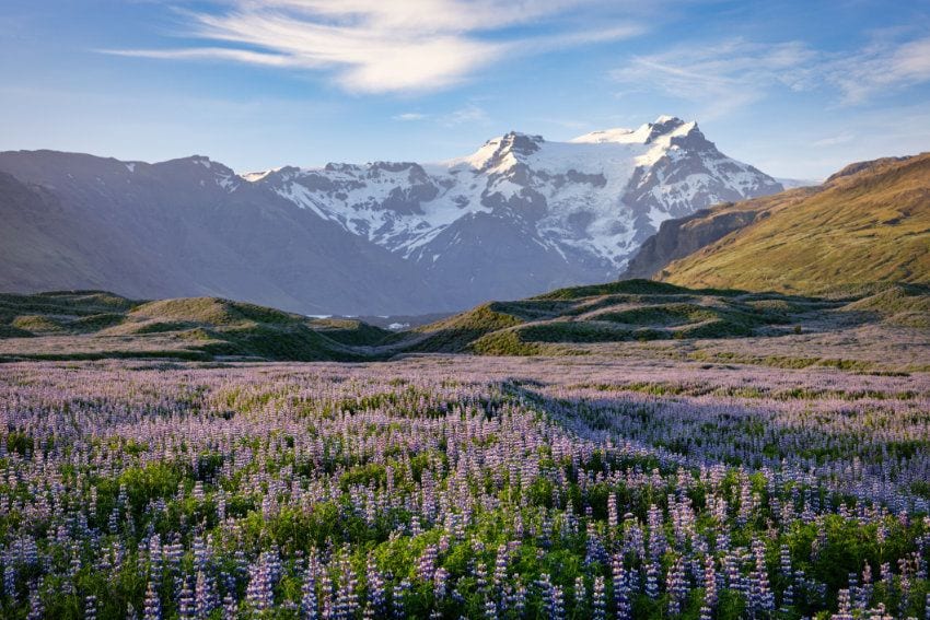 islandia verano