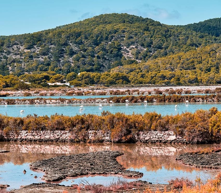 Flamenco en Ses Salines, Ibiza