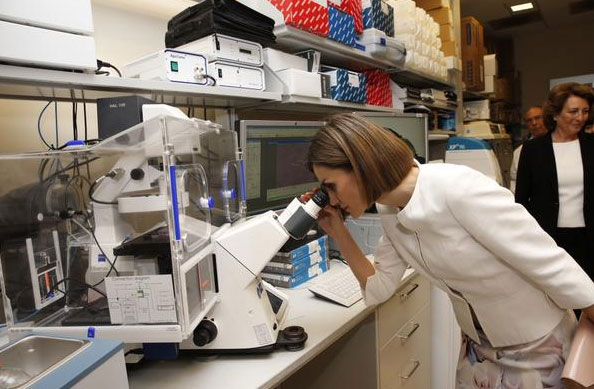 La Reina estuvo comprobando los estudios que se hacen en el Instituto e incluso miró por uno de los microscopios del laboratorio. Imagen del twitter de Casa Real
