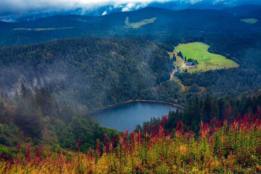 monte-feldberg--selva-negra-alemania