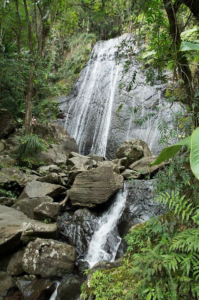 fonsi-puerto-rico-7a