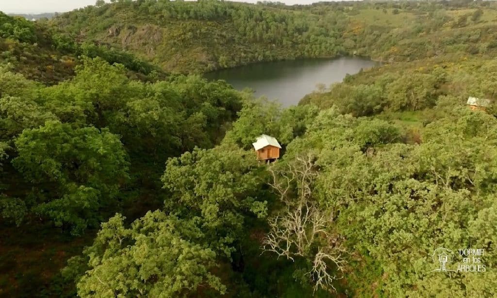 caba a en un rbol en c ceres