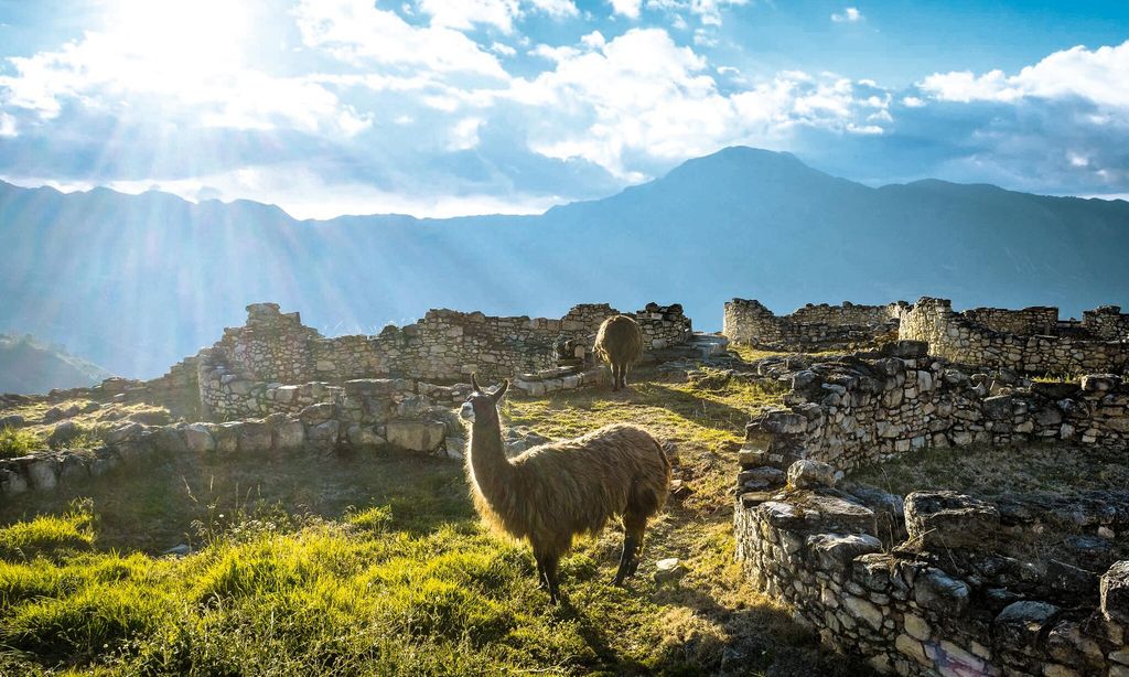 HOVIAJES Perú