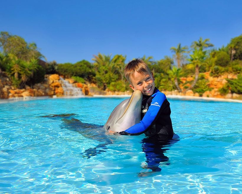 zoomarine-delfines-algarve-portugal