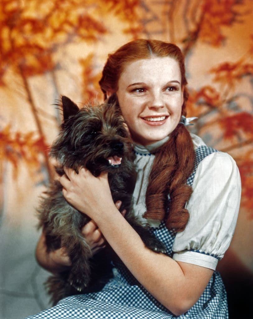 The dress worn by Judy Garland in the 1939 film 'The Wizard of Oz' 