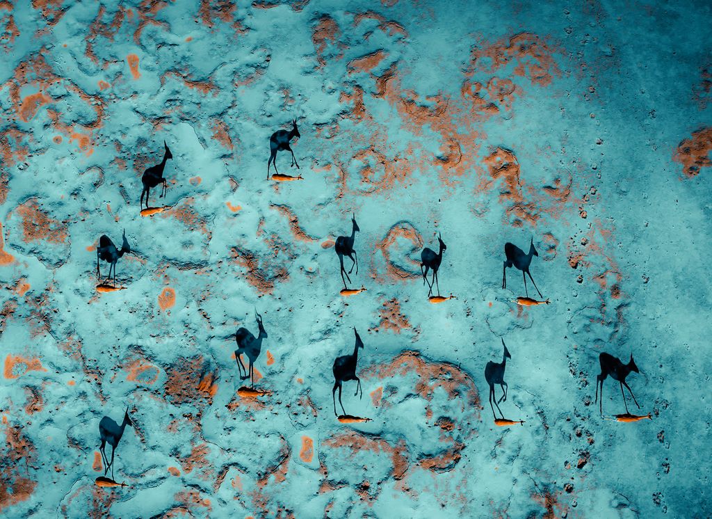 Majestic shadows, from a bird’s eye view, on the desert sands