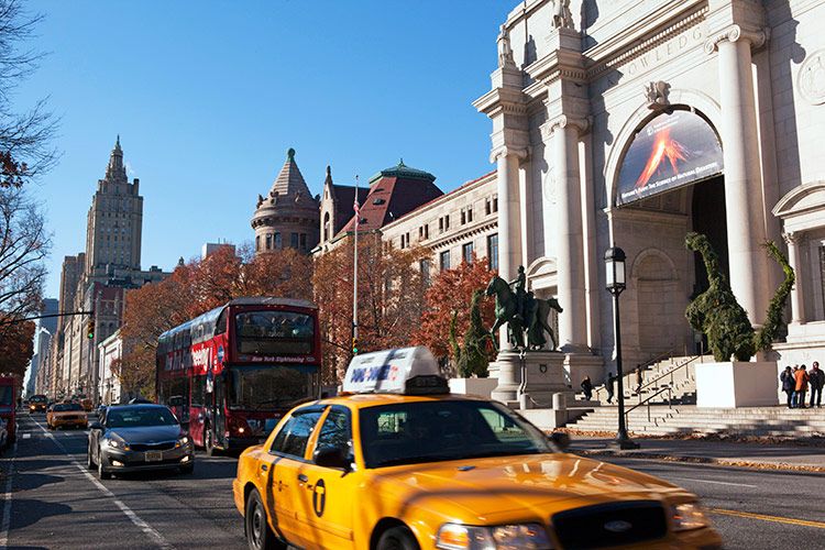 Museo historia natural nueva york