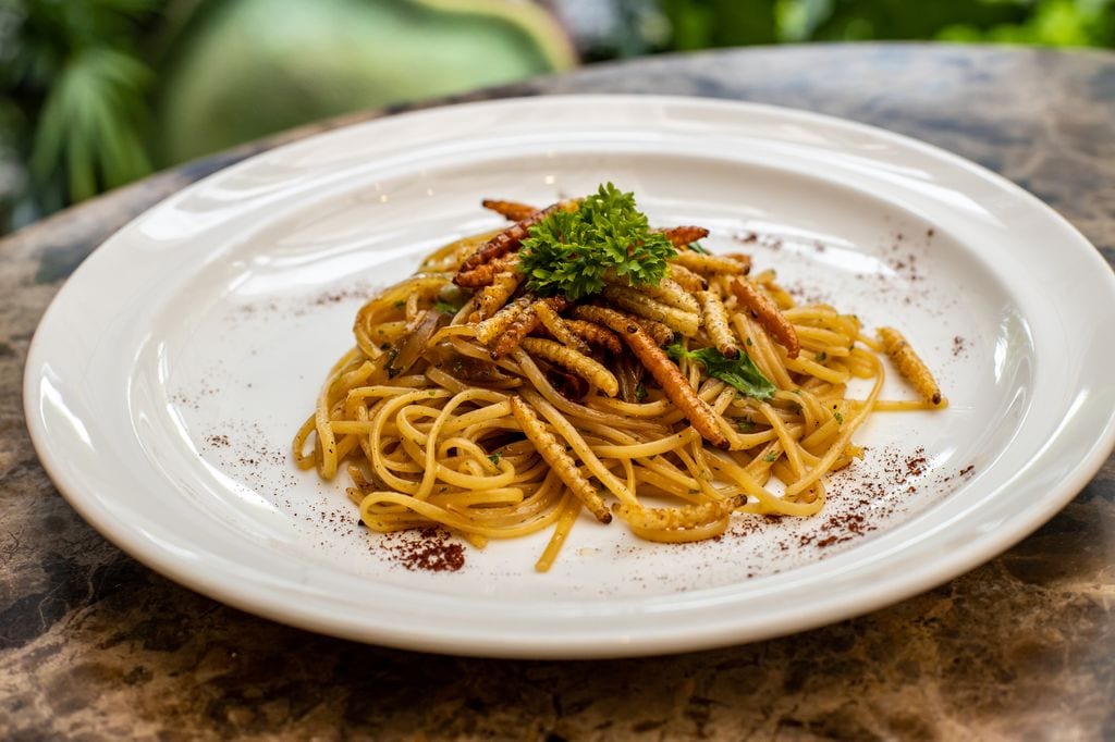 plato de pasta preparado con larvas de insecto