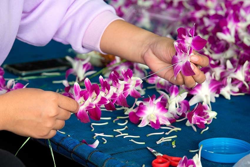 tuamotu collares flores