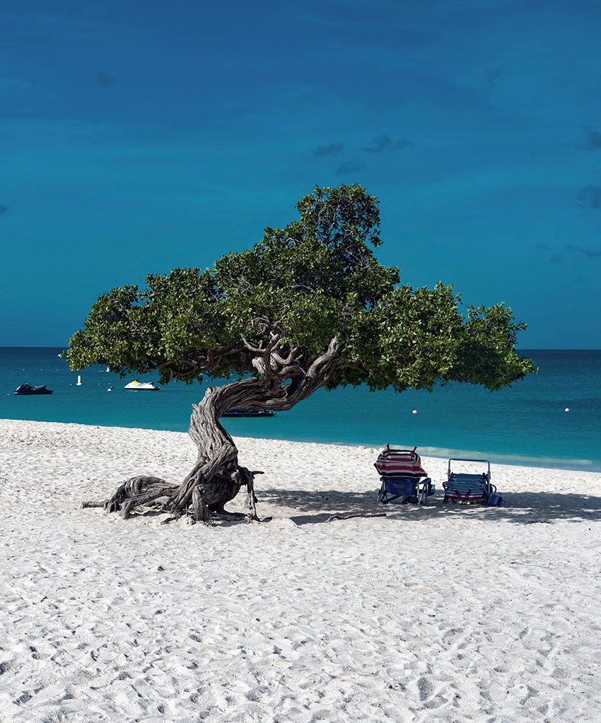 eagle beach aruba