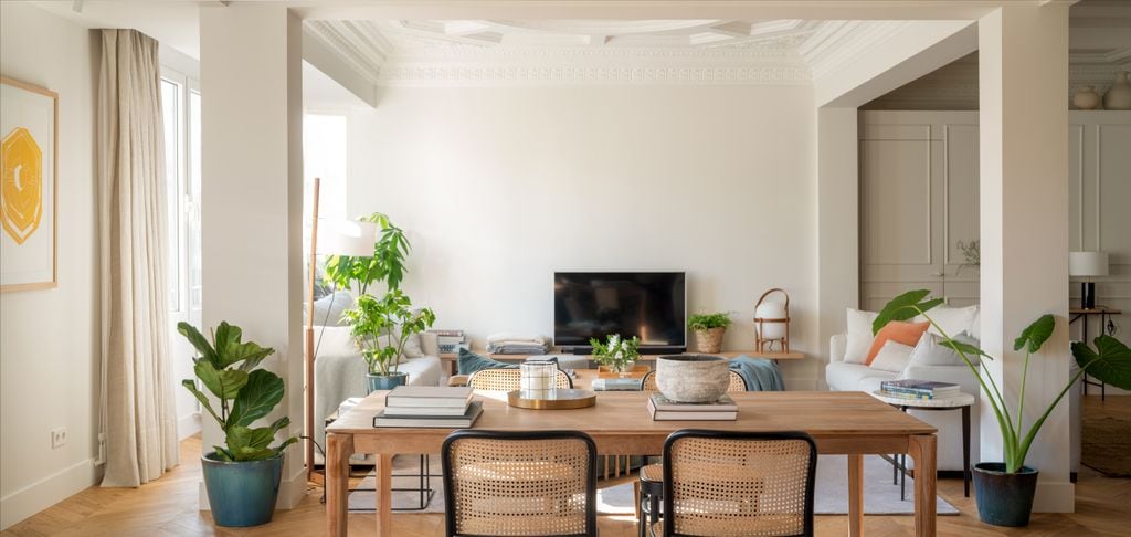 Comedor y salón repleto de plantas de interior