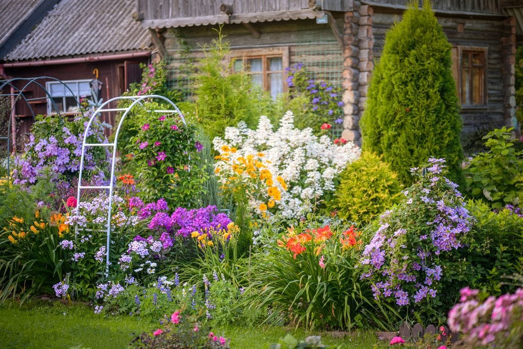 Un precioso jardín con flores ornamentales