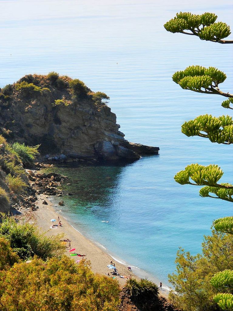 calas-nerja