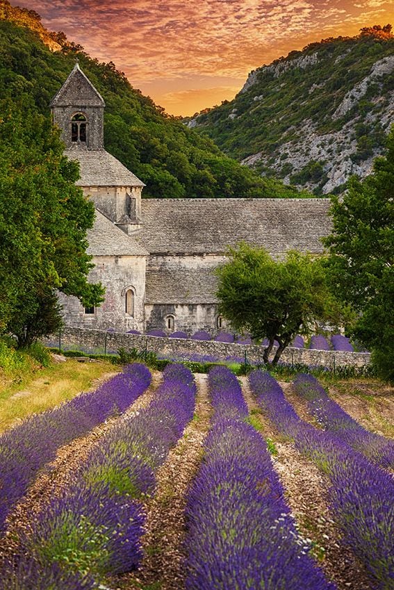 Abadía de Senanques provenza francia