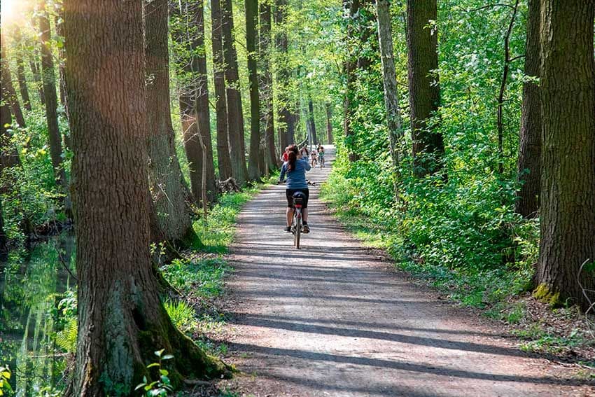 spreewald bosque bicis