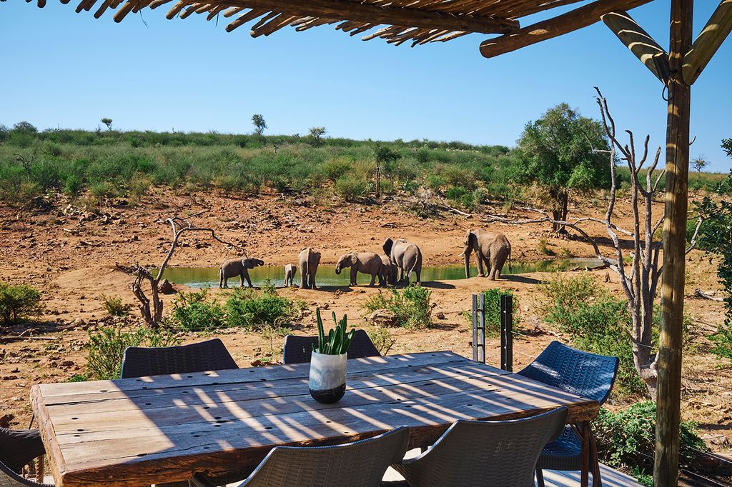 Royal Madikwe Luxury Safari Lodge, Reserva Natural de Madikwe, Sudáfrica