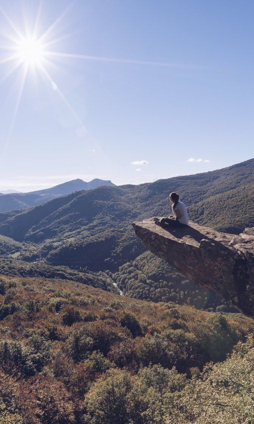 panoramica de la selva de irati un bosque para el otono en navarra