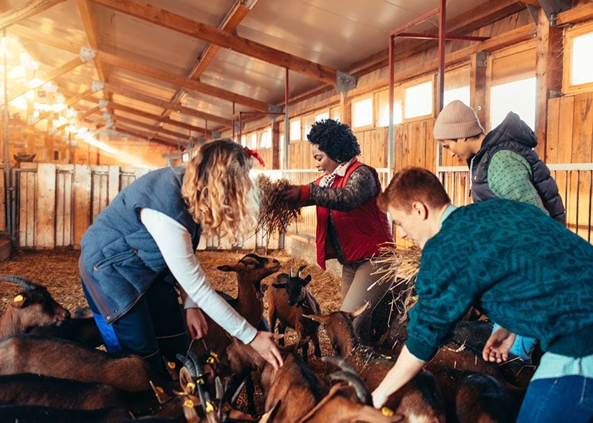 Turismo voluntariado, generación Z