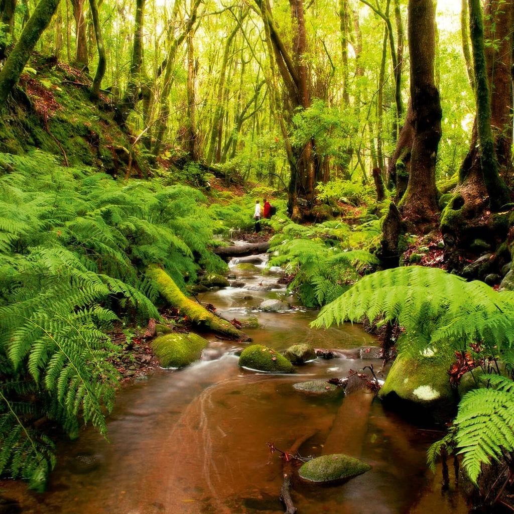 La Gomera