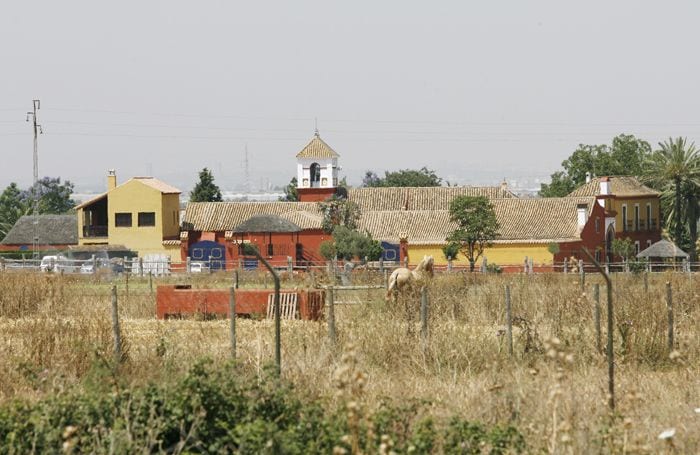 Bertín Osborne en su finca sevillana