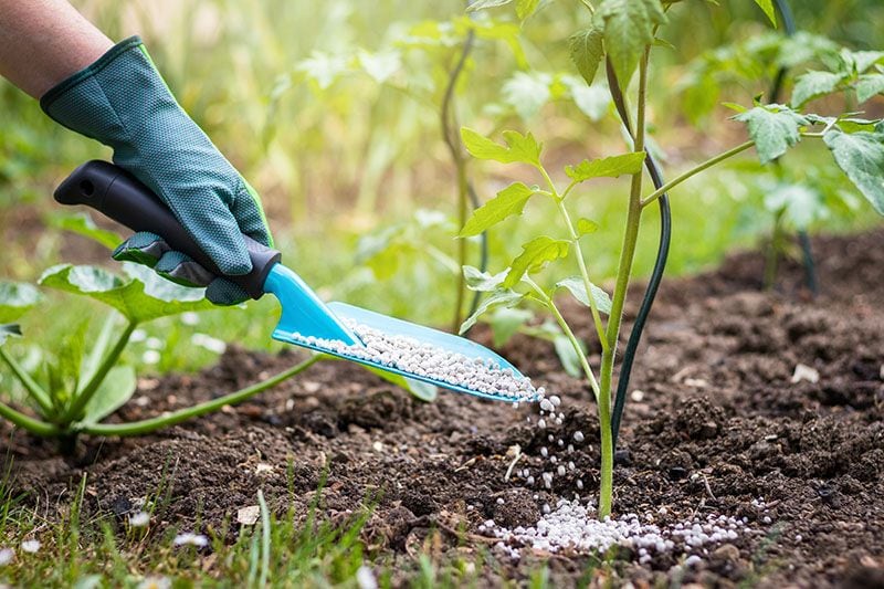 trabajos jardin otono 5