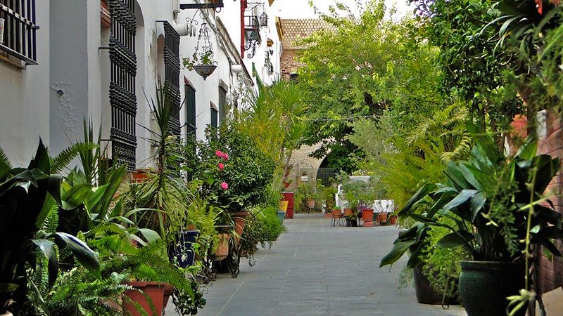 patio-sevilla-triana