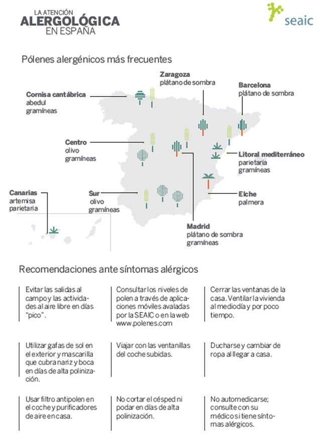 Alergia-primaveral4