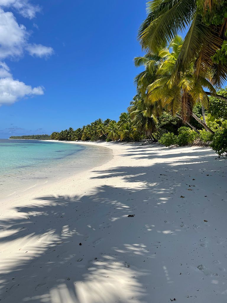 Seychelles, paraíso de naturaleza en el Índico