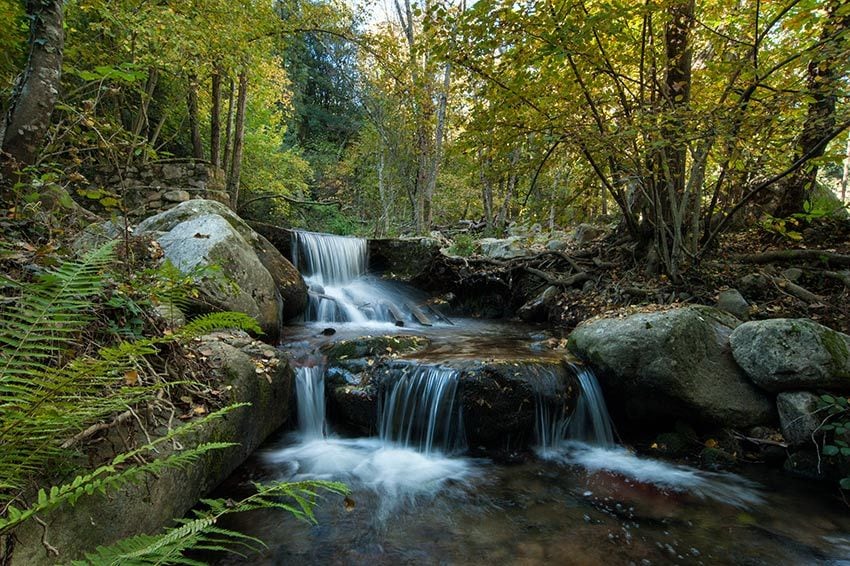 parque-montseny-barcelona-ajpg