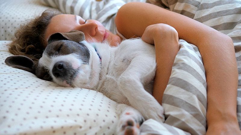 mujer abrazada perro cama