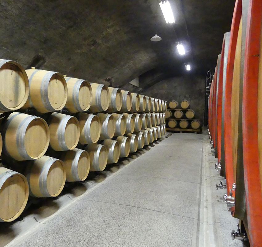 Bodega Goriska Brda, Eslovenia