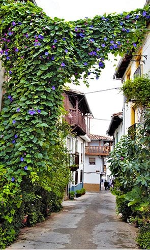 pueblos mas bonitos de avila d2