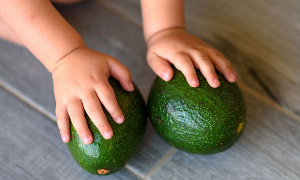 grasas saludables en la alimentaci n infantil